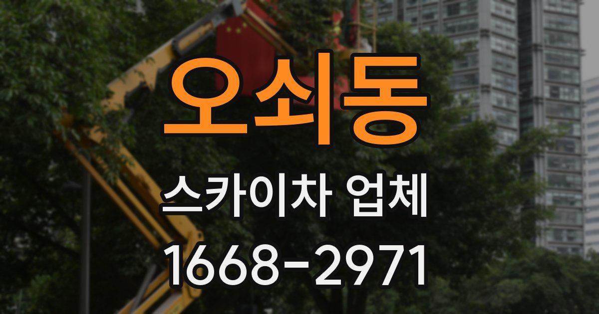 오쇠동 스카이차 업체