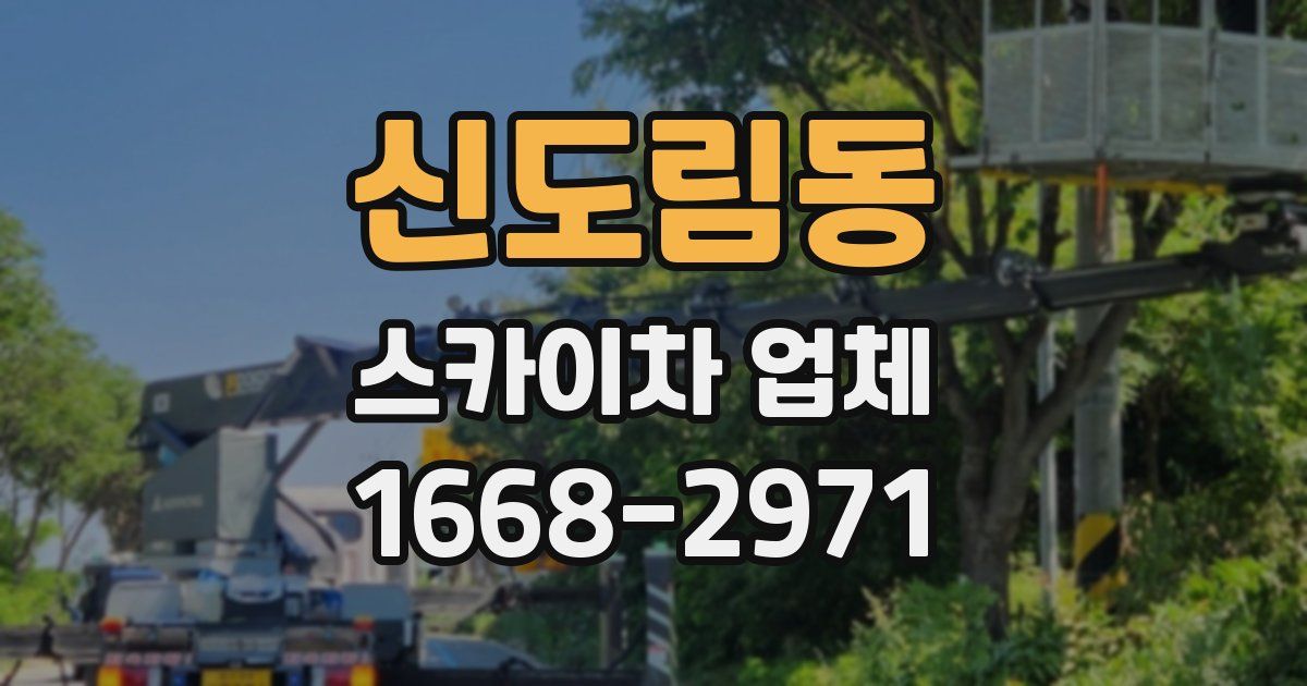 신도림동 스카이차 업체