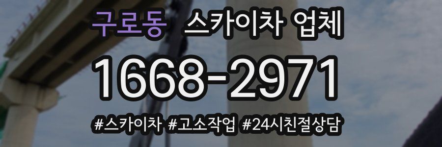 구로동 스카이차 업체