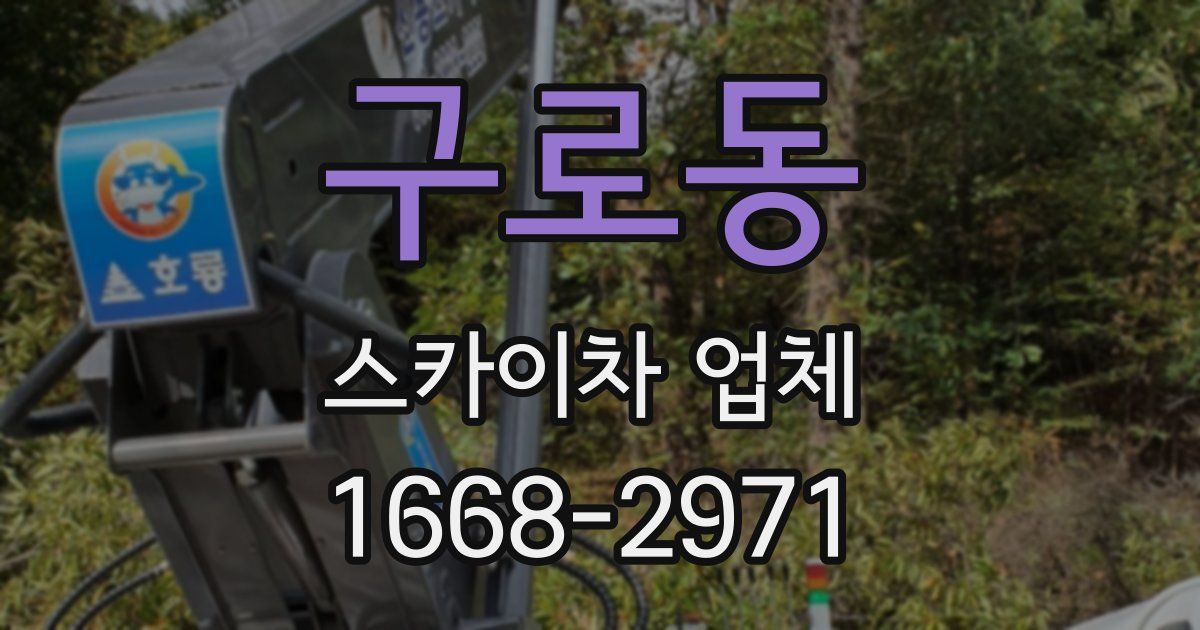 구로동 스카이차 업체