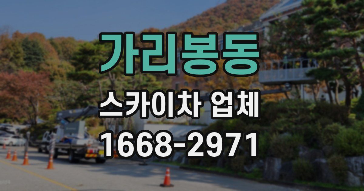 가리봉동 스카이차 업체