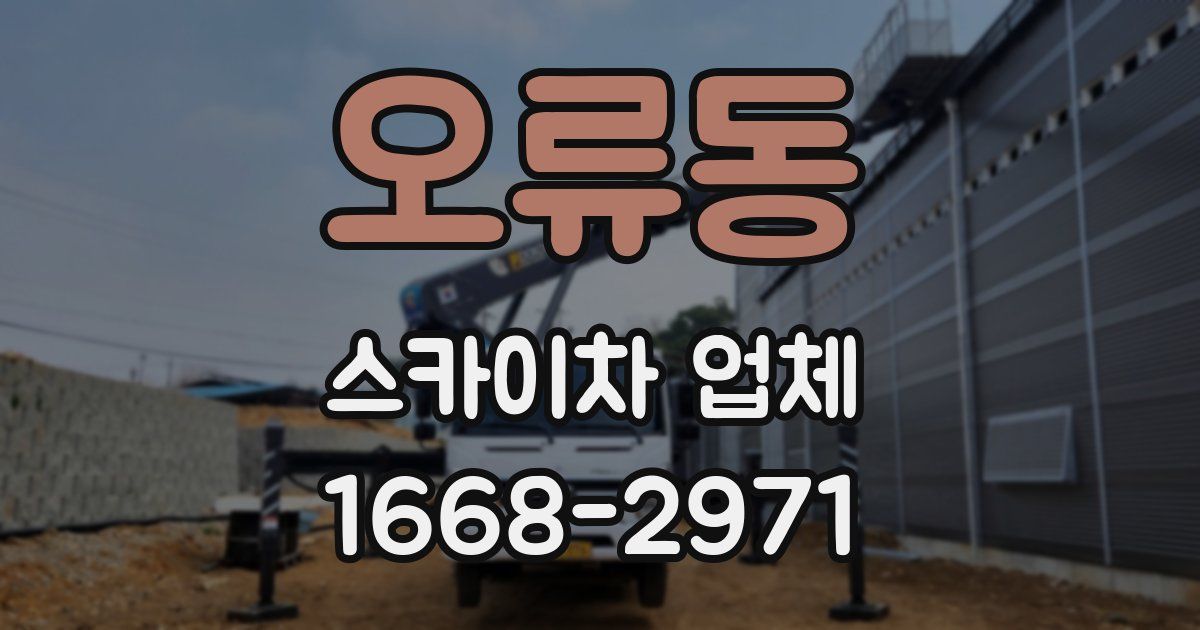 오류동 스카이차 업체