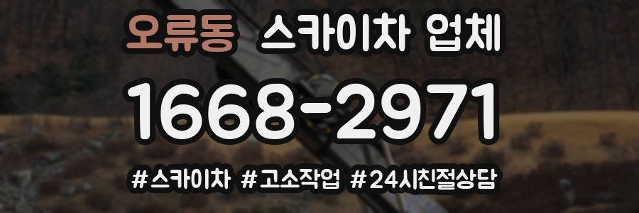 오류동 스카이차 업체