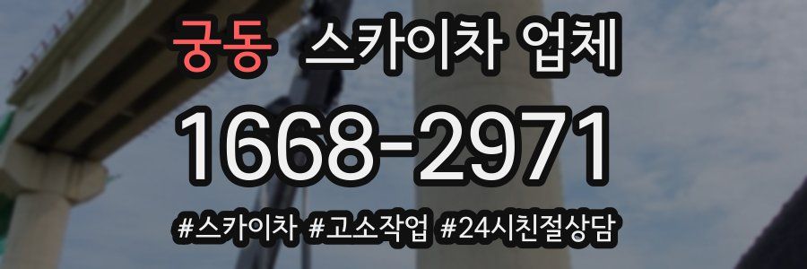 궁동 스카이차 업체