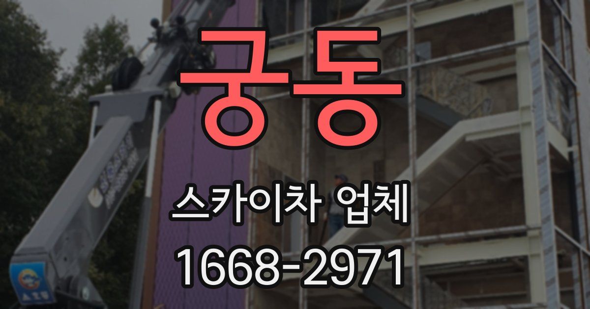 궁동 스카이차 업체