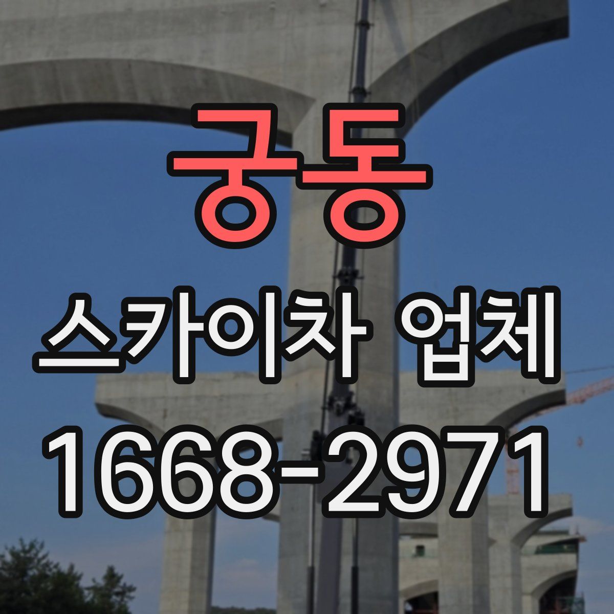 궁동 스카이차 업체