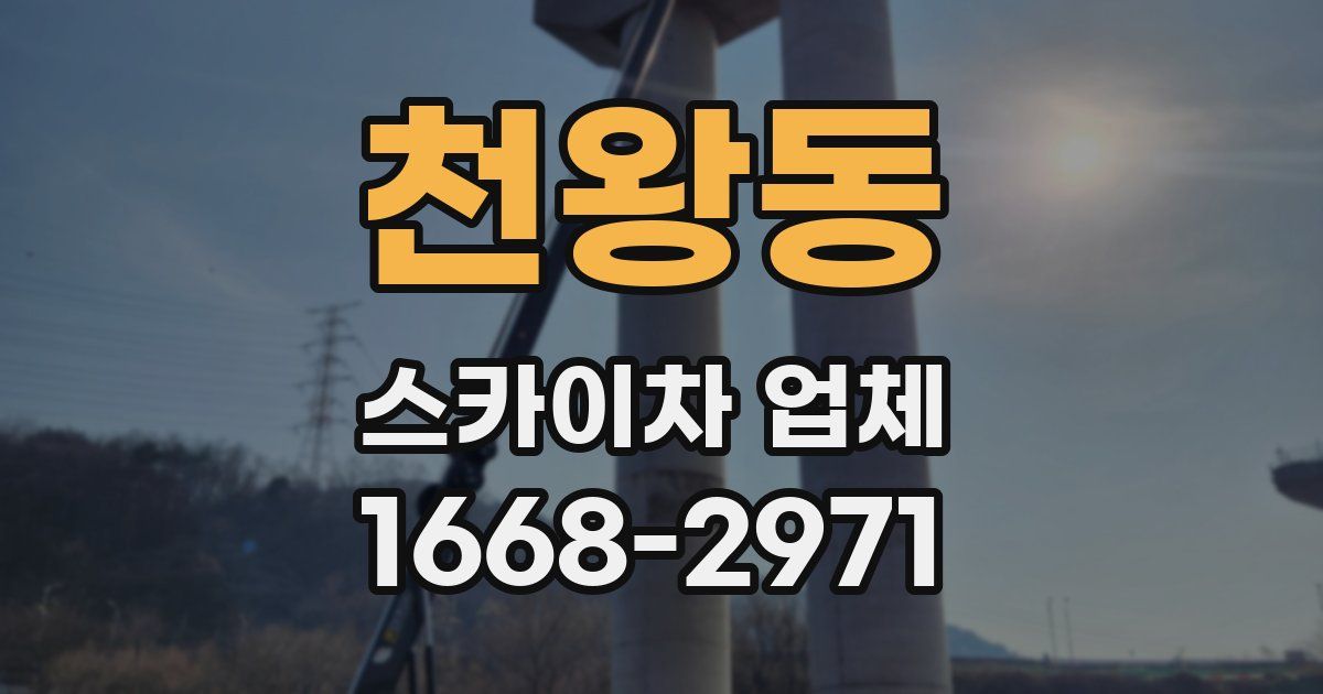 천왕동 스카이차 업체