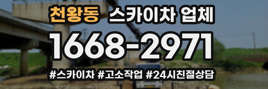 천왕동 스카이차 업체