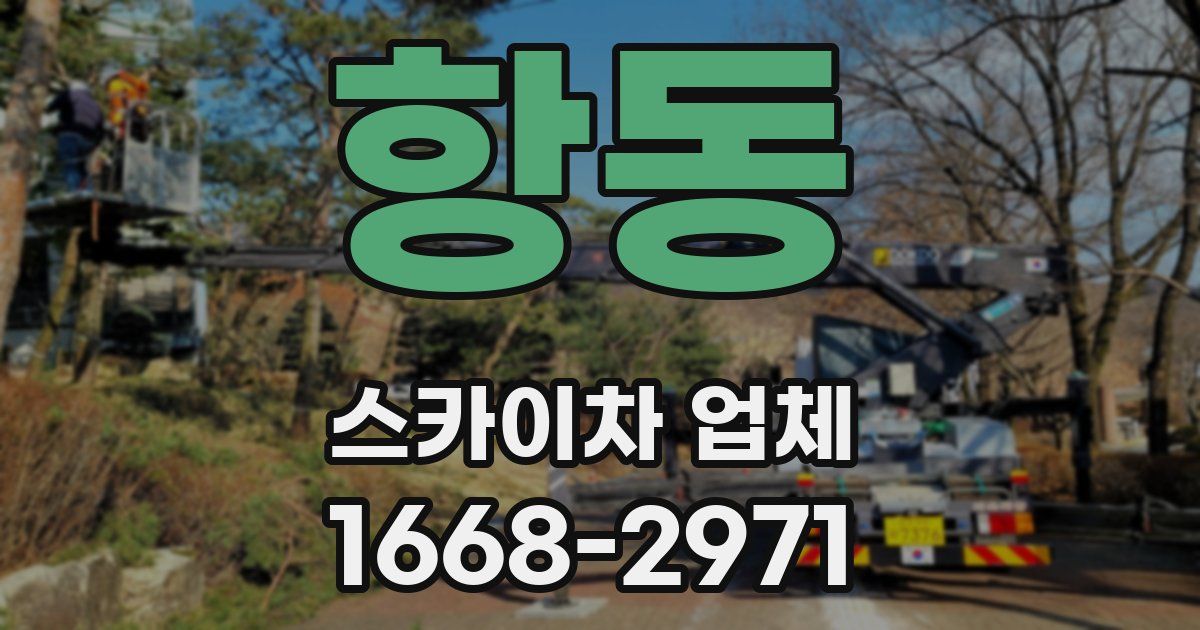 항동 스카이차 업체