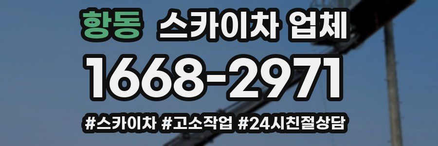 항동 스카이차 업체