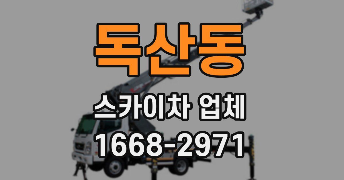 독산동 스카이차 업체