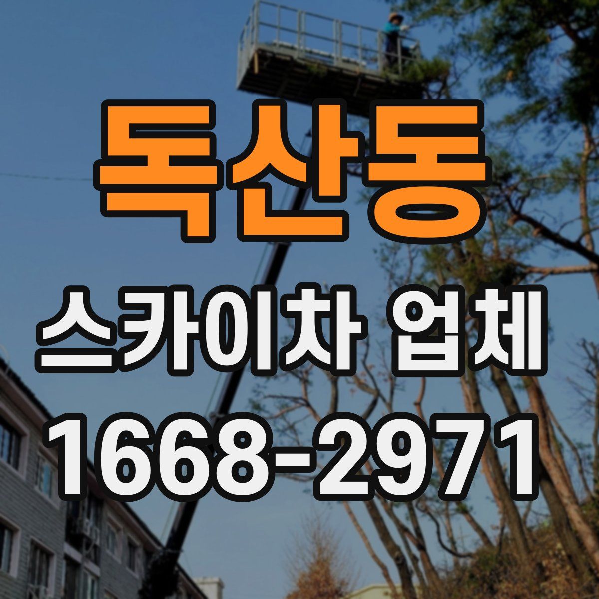 독산동 스카이차 업체