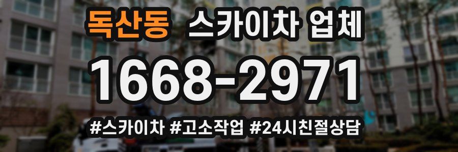 독산동 스카이차 업체