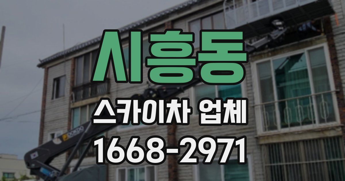 시흥동 스카이차 업체