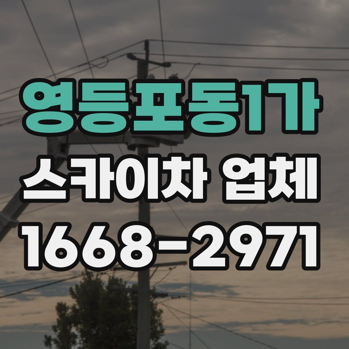 영등포동1가 스카이차 업체