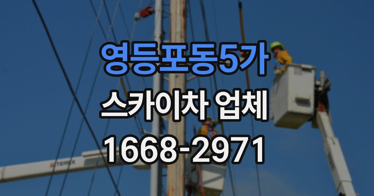 영등포동5가 스카이차 업체