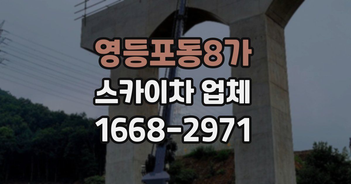 영등포동8가 스카이차 업체