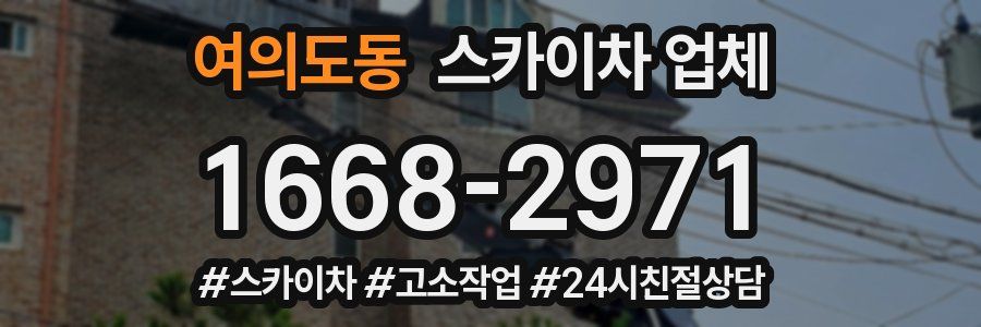 여의도동 스카이차 업체