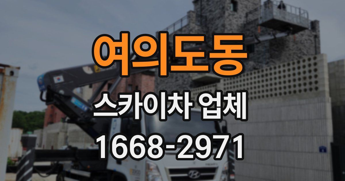 여의도동 스카이차 업체