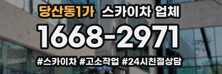당산동1가 스카이차 업체