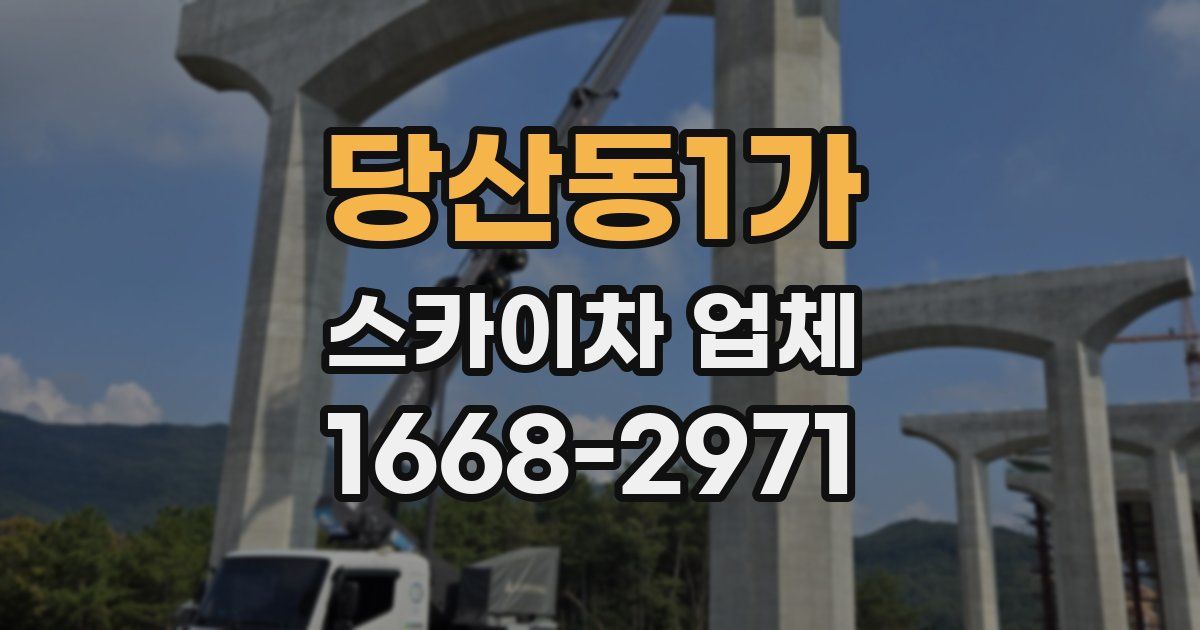 당산동1가 스카이차 업체