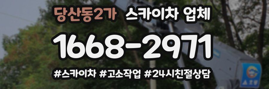 당산동2가 스카이차 업체