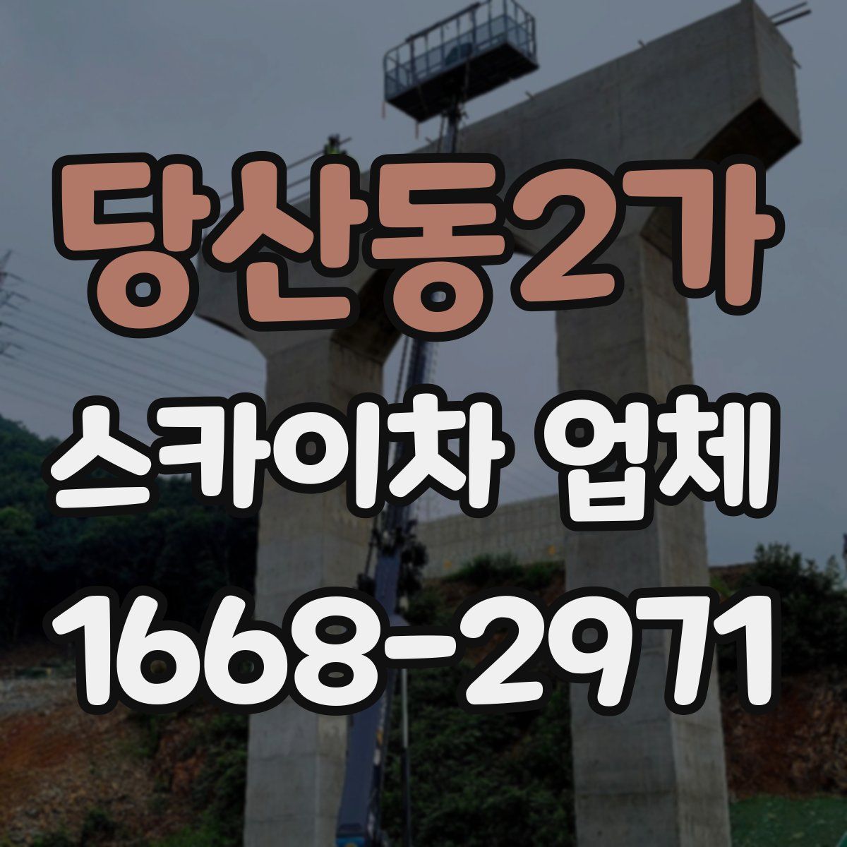 당산동2가 스카이차 업체