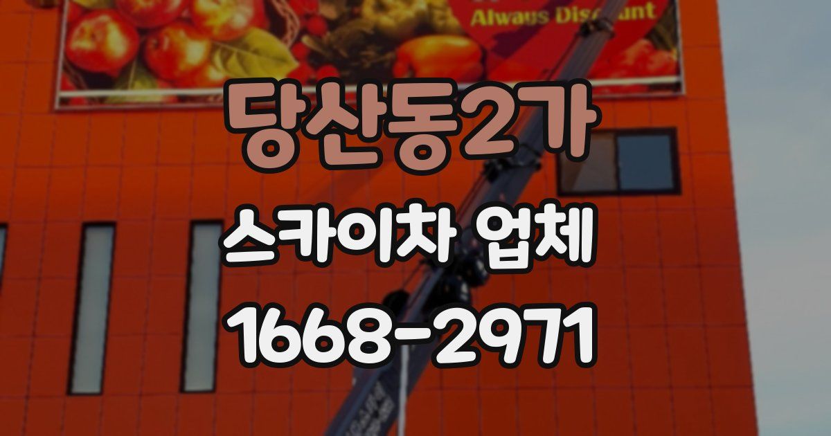 당산동2가 스카이차 업체