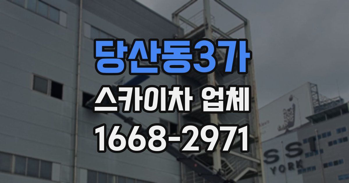 당산동3가 스카이차 업체
