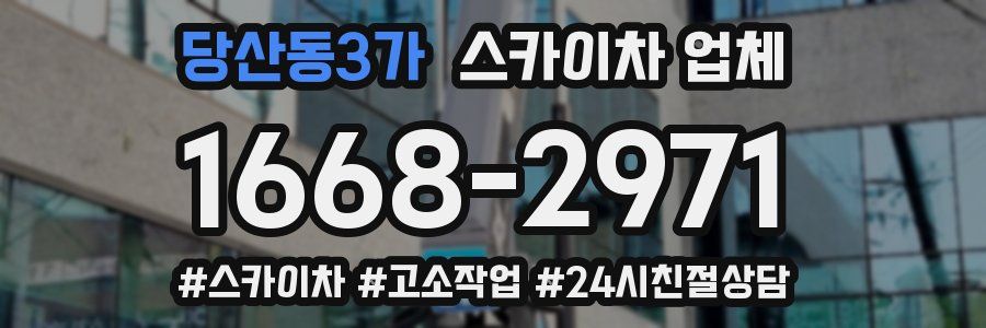 당산동3가 스카이차 업체