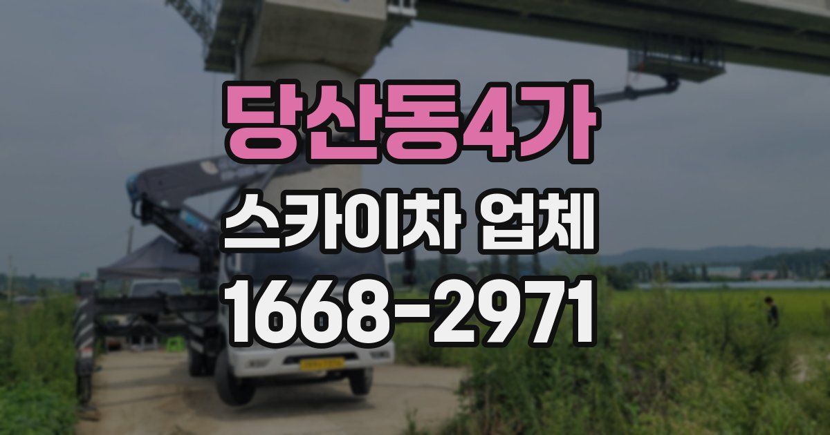 당산동4가 스카이차 업체