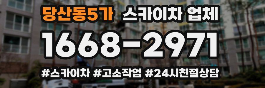 당산동5가 스카이차 업체