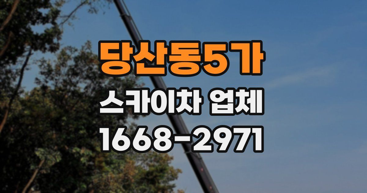 당산동5가 스카이차 업체