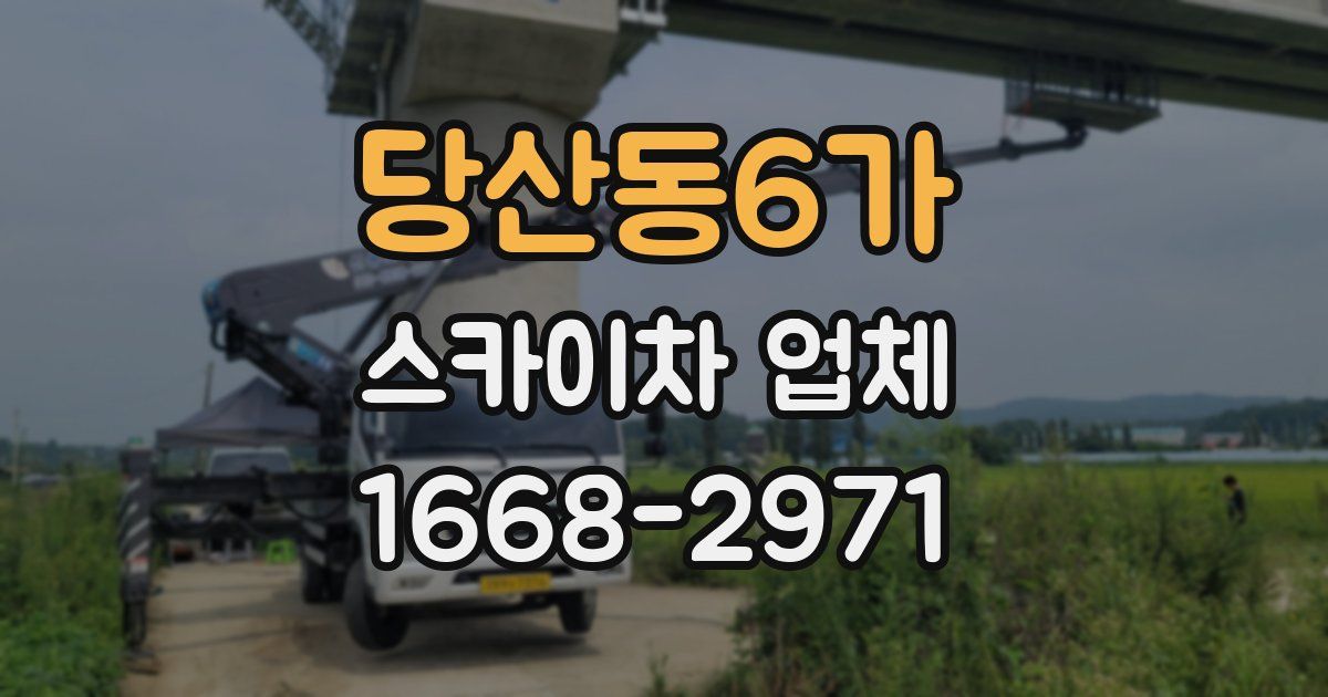당산동6가 스카이차 업체