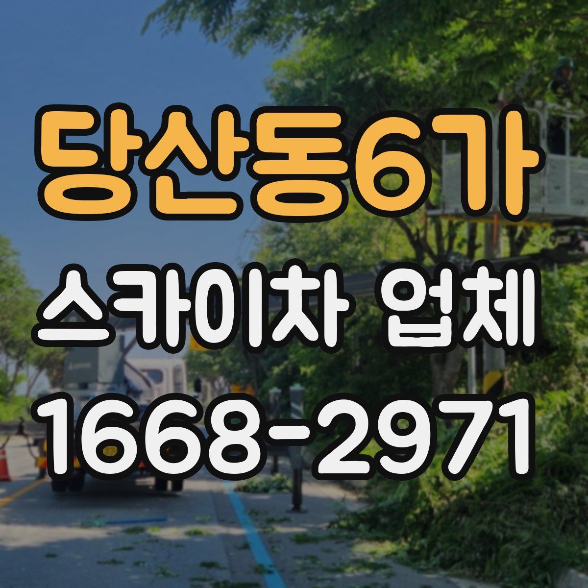 당산동6가 스카이차 업체
