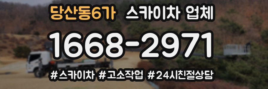 당산동6가 스카이차 업체