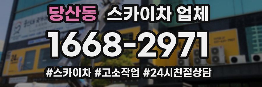 당산동 스카이차 업체
