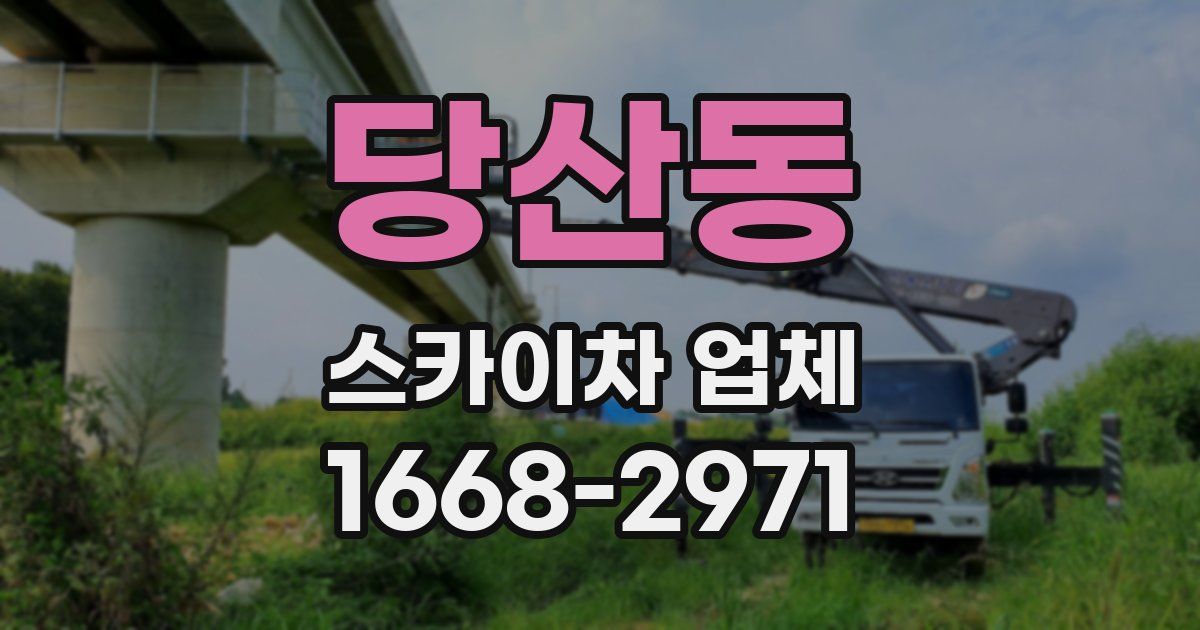 당산동 스카이차 업체