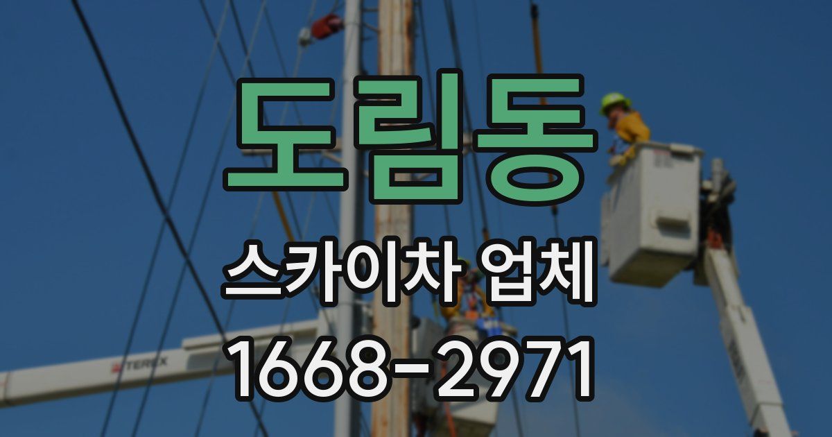 도림동 스카이차 업체