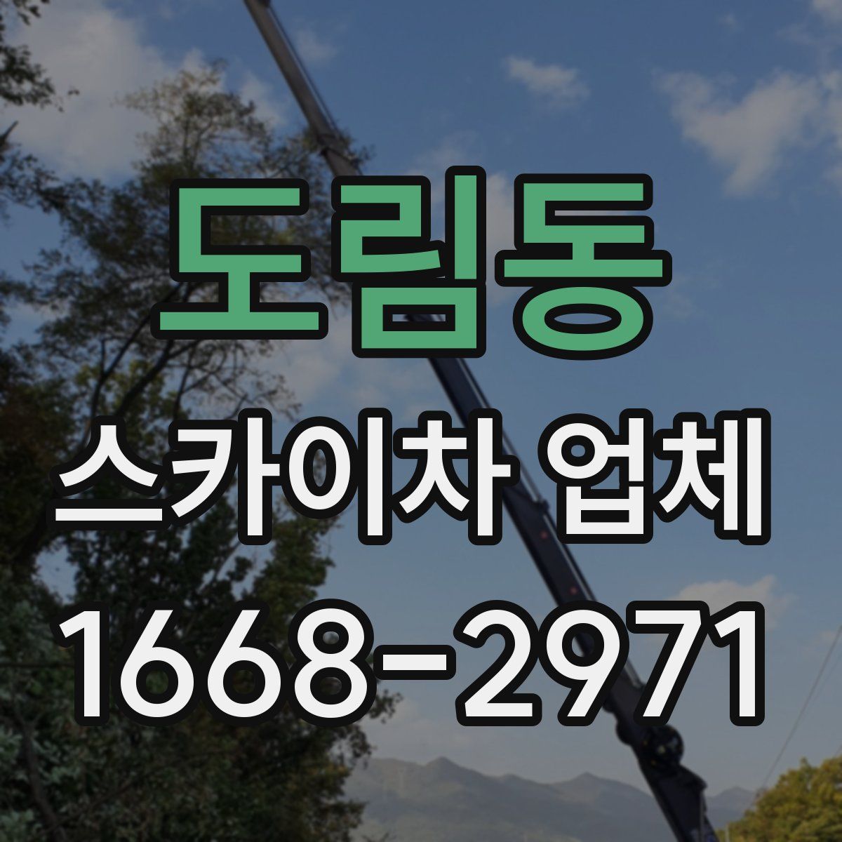 도림동 스카이차 업체