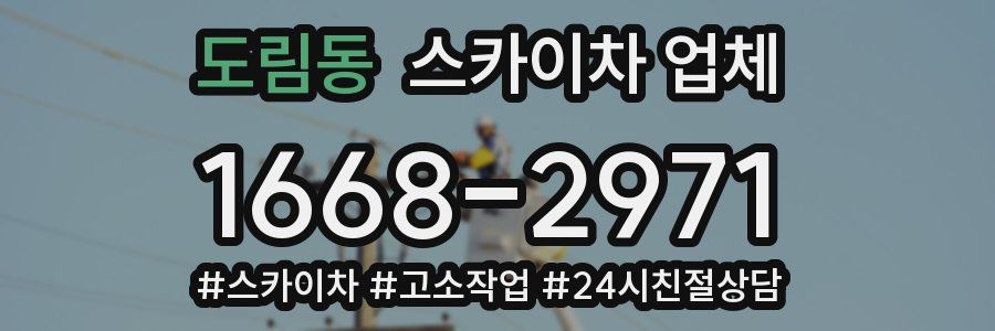 도림동 스카이차 업체