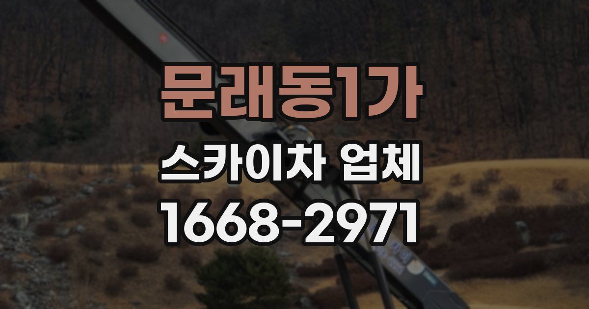 문래동1가 스카이차 업체
