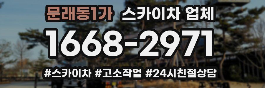 문래동1가 스카이차 업체