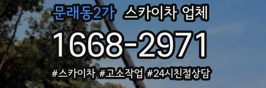 문래동2가 스카이차 업체