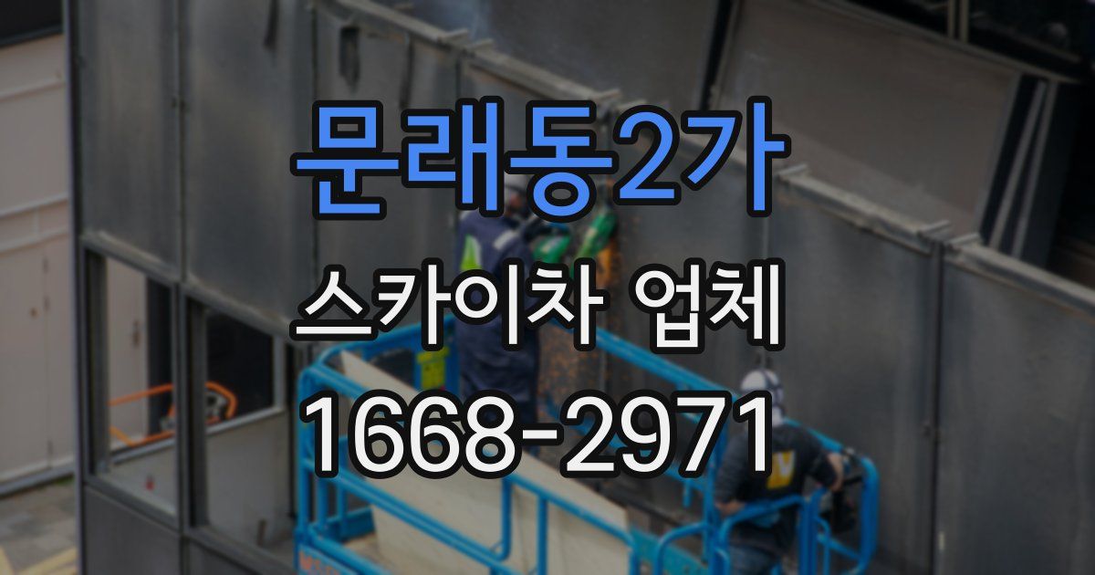 문래동2가 스카이차 업체