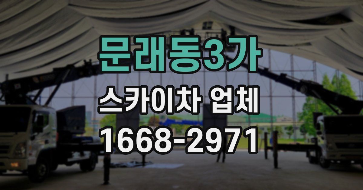 문래동3가 스카이차 업체