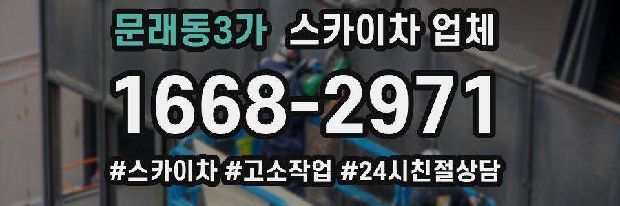 문래동3가 스카이차 업체