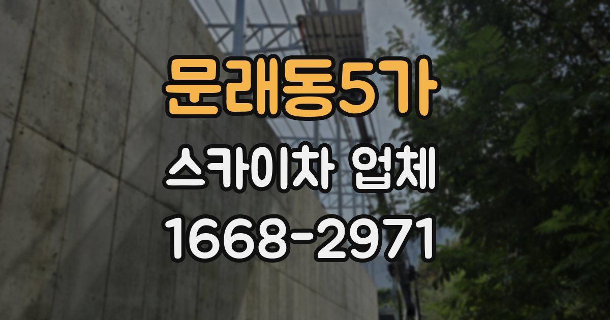 문래동5가 스카이차 업체