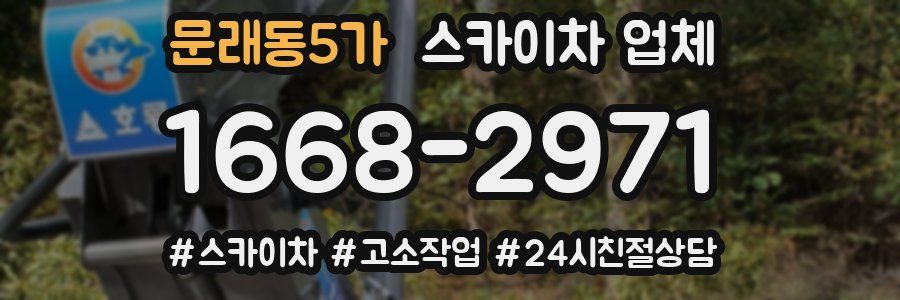 문래동5가 스카이차 업체