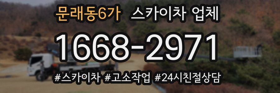 문래동6가 스카이차 업체